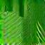 Green leaf icon, symbolizing leave no trace.